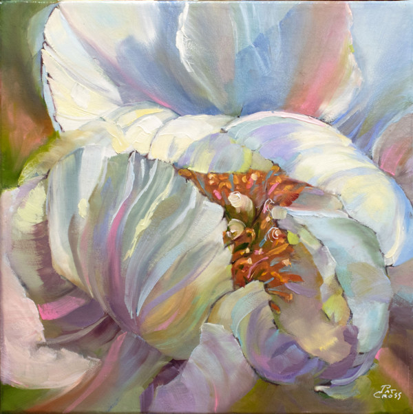 Shy Peony by Pat Cross