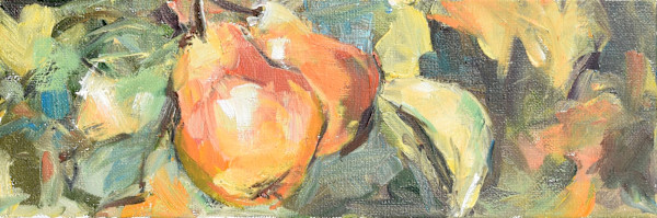 Little Pears by Corinne Galla
