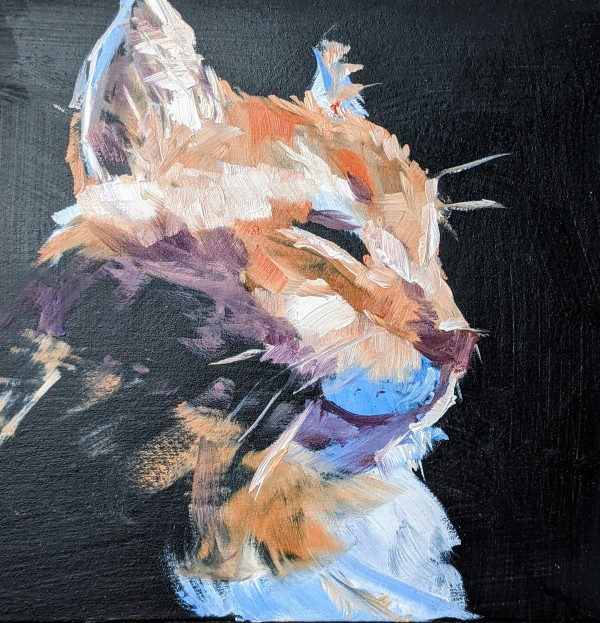 Orange Cutie by Corinne Galla