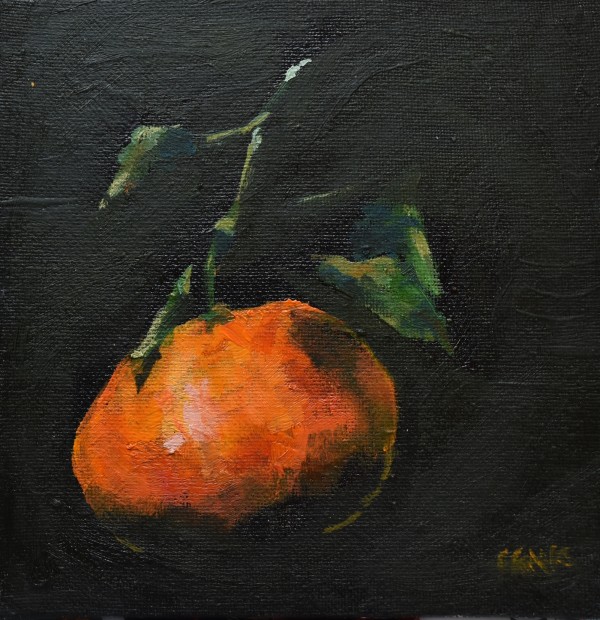 Orange by Corinne Galla