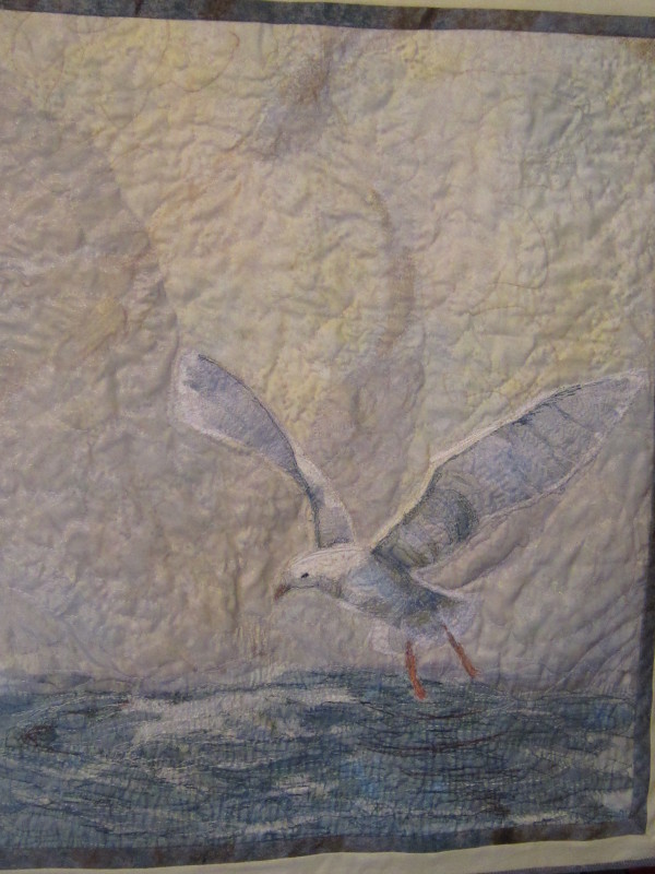 DeGarthe's Seagull by Cathy Drummond