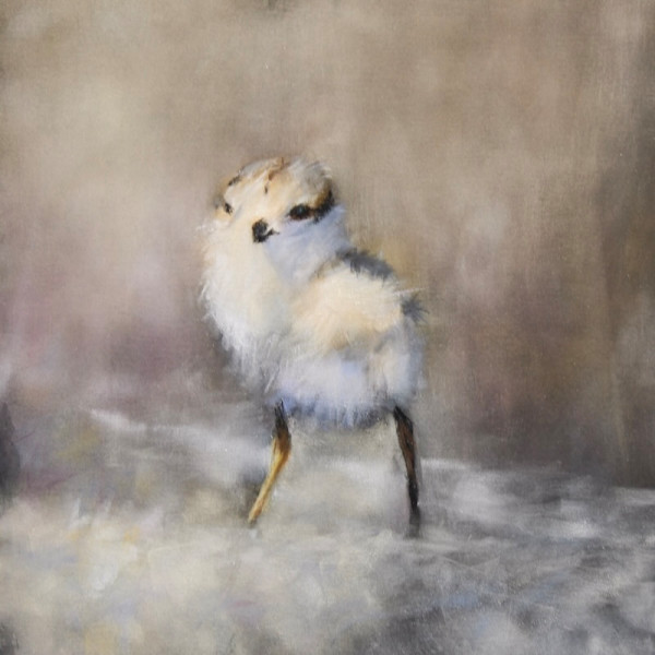 The Next Generation by Lisa Regopoulos