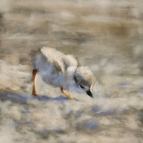 Scanning the Sands by Lisa Regopoulos