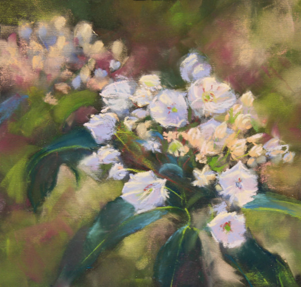 Awakening Laurel by Lisa Regopoulos