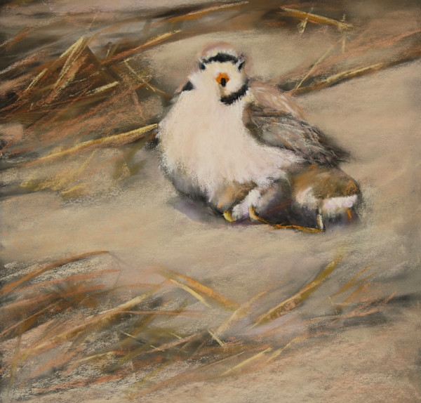 Coastal Comfort by Lisa Regopoulos