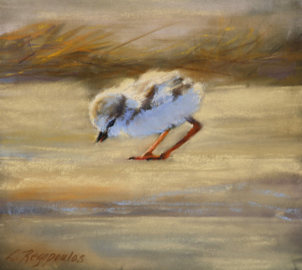 Coastal Curiosity by Lisa Regopoulos