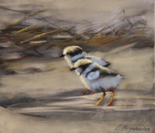 Coastal Kin by Lisa Regopoulos
