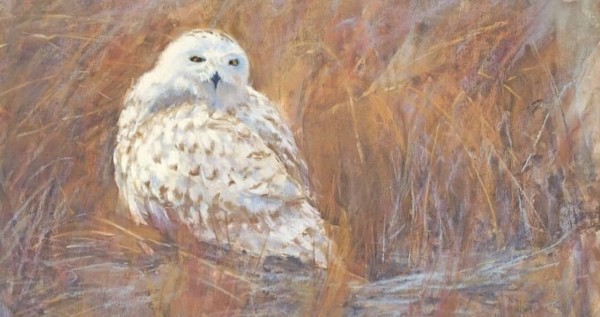 Alive and Free by Lisa Regopoulos