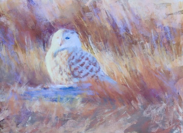 Quietly Roosting by Lisa Regopoulos