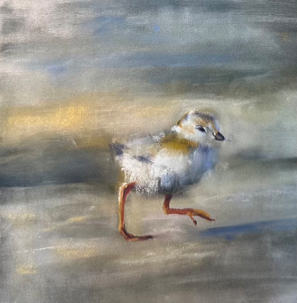 Tiny Steps by Lisa Regopoulos