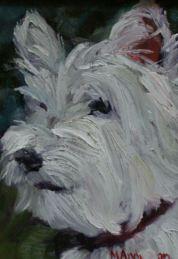 Terrier by Melissa Anderson