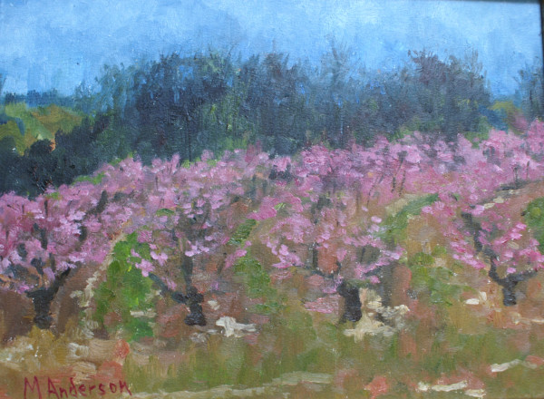Early Peach Trees by Melissa Anderson