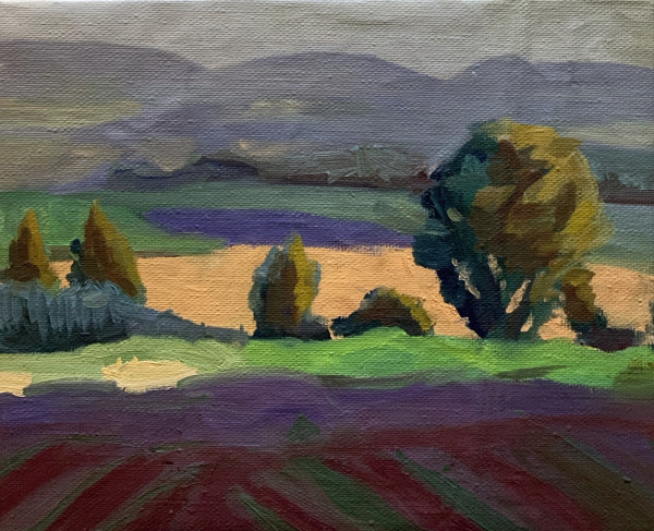 Lavender Fields, Provence, France, 2008, Oil on Linen