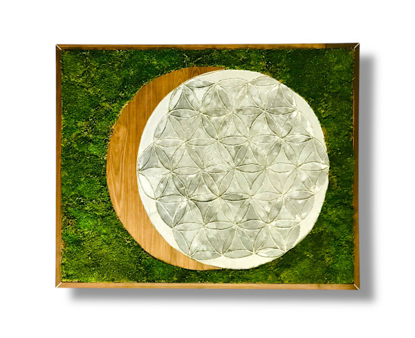 Flower of the Earth by Harmony Jones