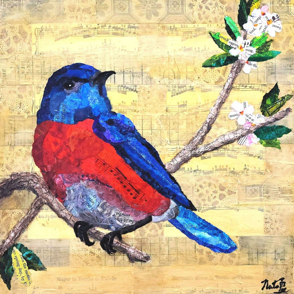 Backyard Birds: Western Bluebird by Poppyfish Studio: The Art of Natasha Monahan Papousek