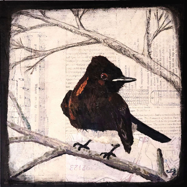 Backyard Birds: Black Phoebe by Poppyfish Studio: The Art of Natasha Monahan Papousek