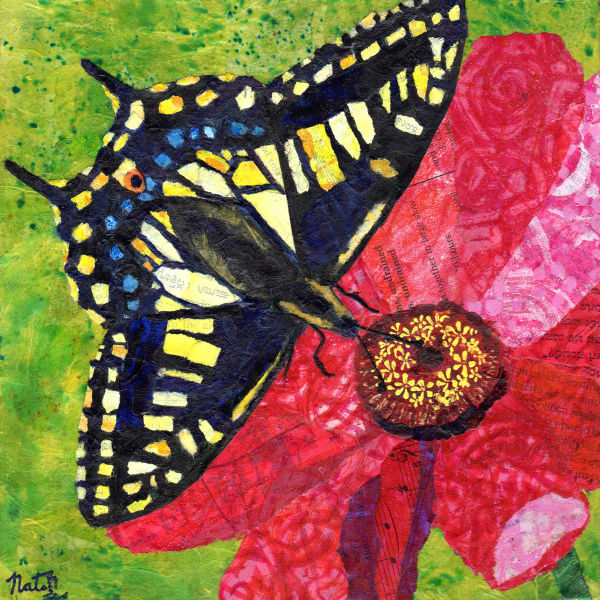 Butterfly Jig: Anise Swallowtail on Garden Zinnia by Poppyfish Studio: The Art of Natasha Monahan Papousek