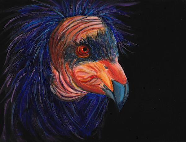 Condor by Poppyfish Studio: The Art of Natasha Monahan Papousek