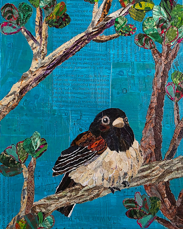 Birds of Balboa Park: Dark-eyed Junco by Poppyfish Studio: The Art of Natasha Monahan Papousek, Image 1.