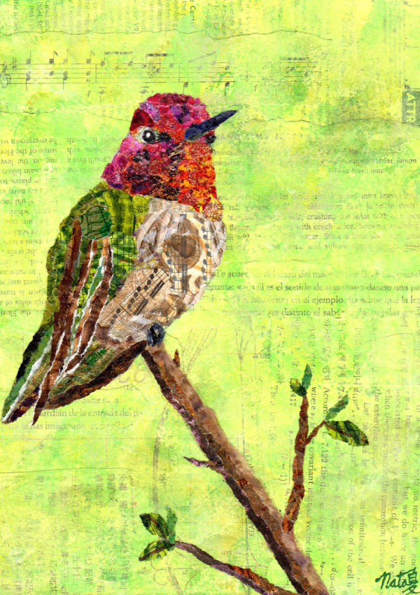 Jewels of the Sky:  Mr. Anna's Hummingbird by Poppyfish Studio: The Art of Natasha Monahan Papousek