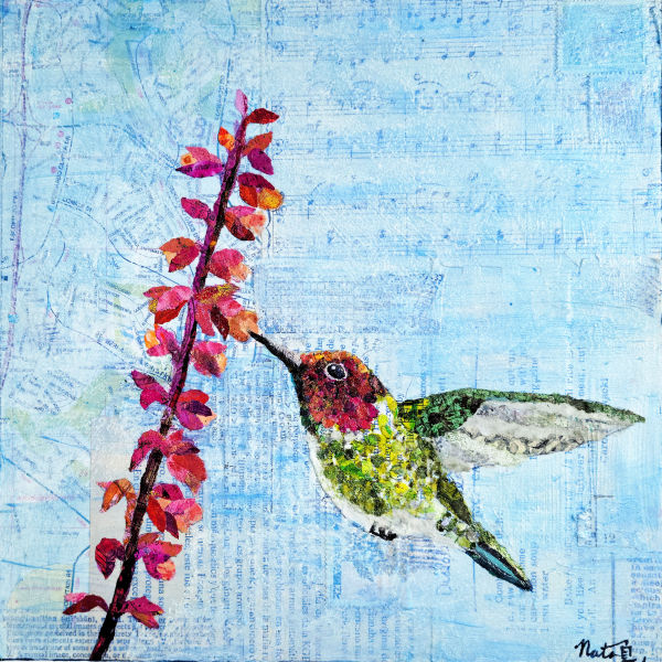 Backyard Birds: Mr. Anna's Hummingbird by Poppyfish Studio: The Art of Natasha Monahan Papousek