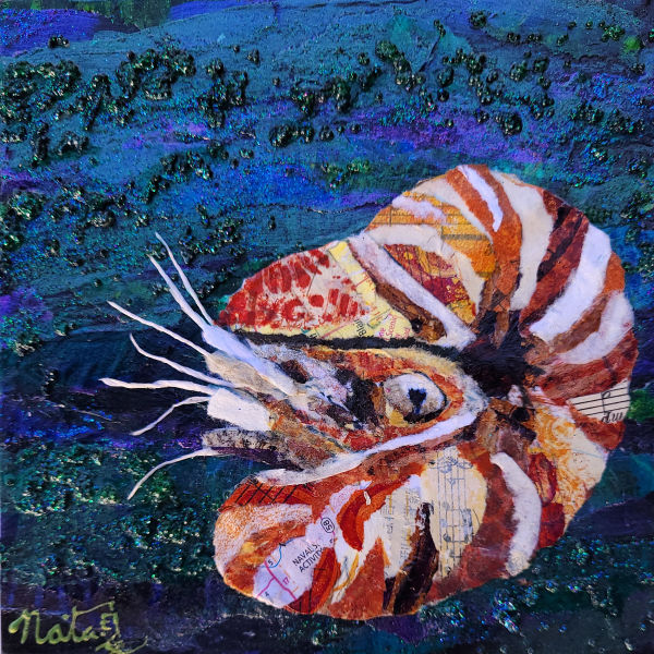 Jewels of the Sea: Nautilus by Poppyfish Studio: The Art of Natasha Monahan Papousek
