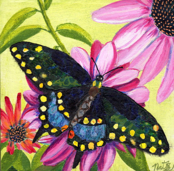 Swallowtail Jig by Poppyfish Studio: The Art of Natasha Monahan Papousek