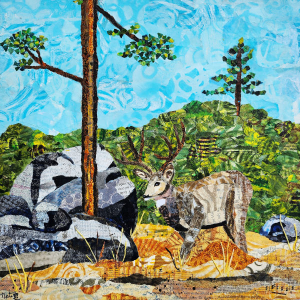 Wild Neighbors: Southern Mule Deer by Poppyfish Studio: The Art of Natasha Monahan Papousek