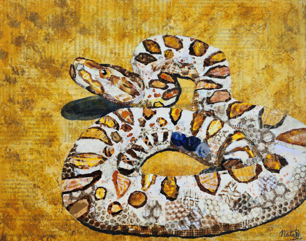 Wild Neighbors: Red Diamondback Rattlesnake by Poppyfish Studio: The Art of Natasha Monahan Papousek