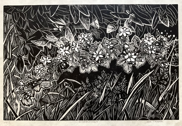 Wildflowers by Mary Ann Trzyna