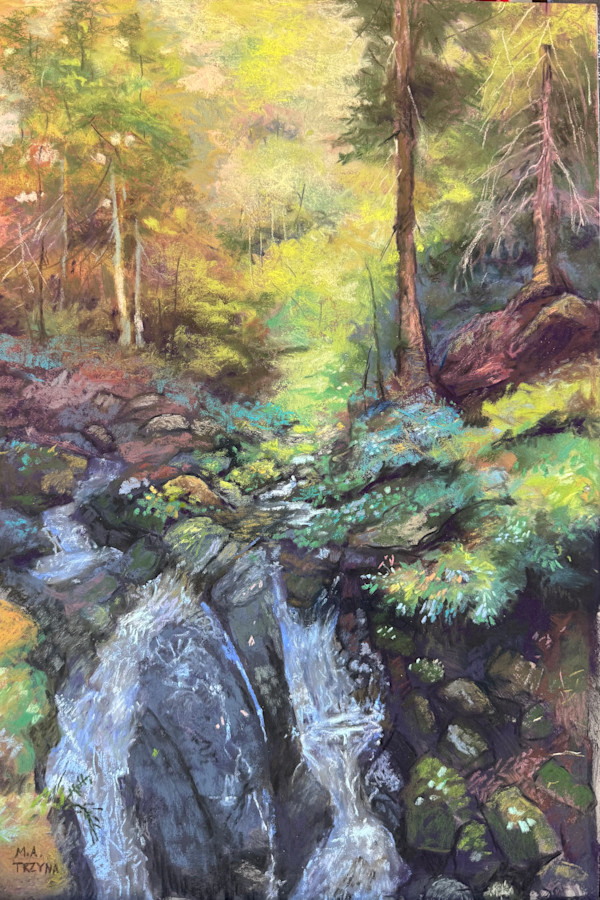 Black Forest Walk 2 by Mary Ann Trzyna