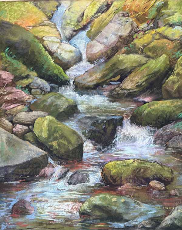 Rushing Waters by Mary Ann Trzyna