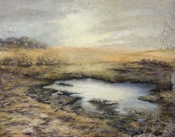 Grassland Overcast by Mary Ann Trzyna