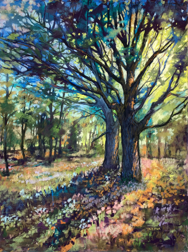 Oak Trees in October Sunlight by Mary Ann Trzyna