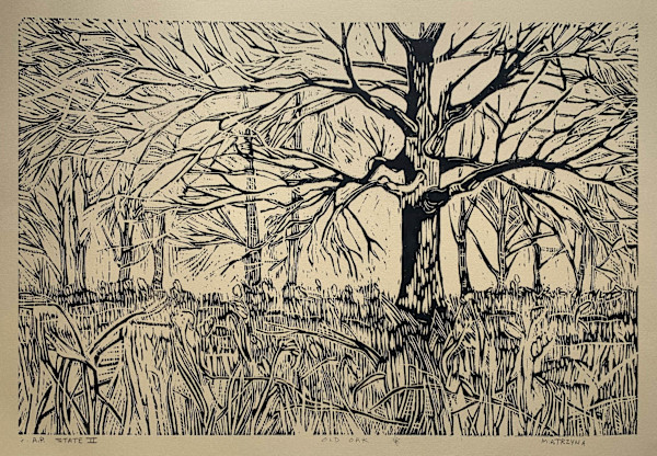 Old Oak by Mary Ann Trzyna, Image 5.