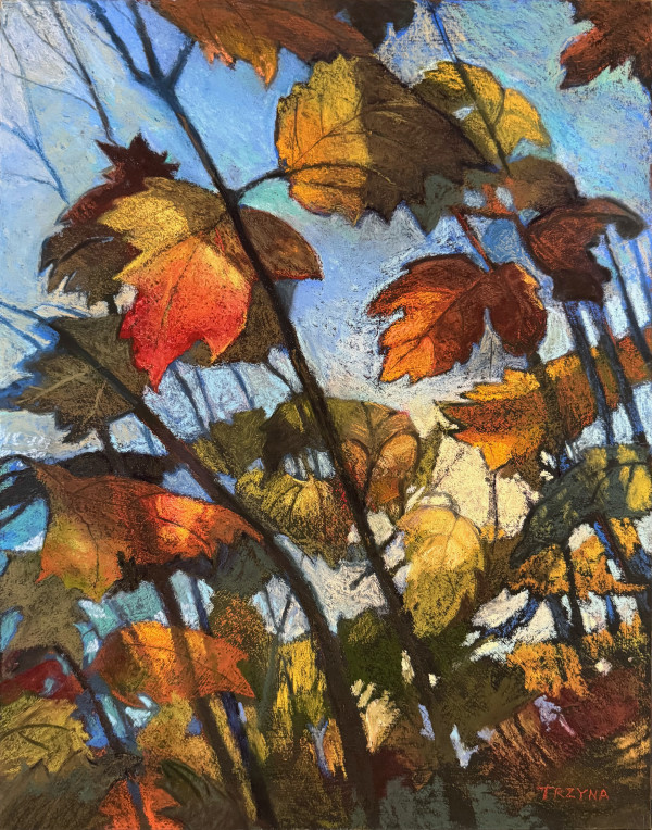 Sunlight & Leaves by Mary Ann Trzyna