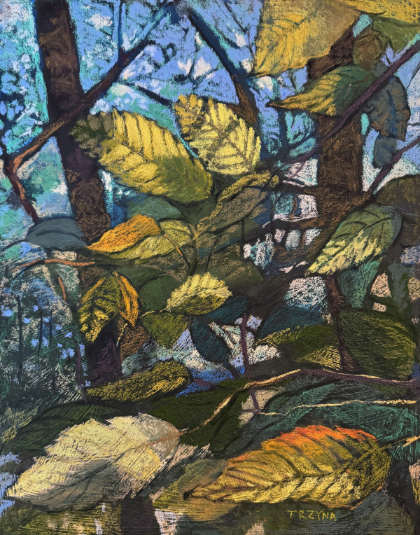 Walking in Sunlit Woods by Mary Ann Trzyna