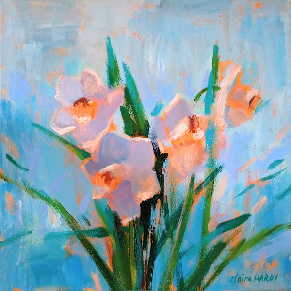 Coral Daffodils by CLAIRE HARDY