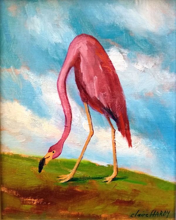 Flamingo after Audubon by CLAIRE HARDY