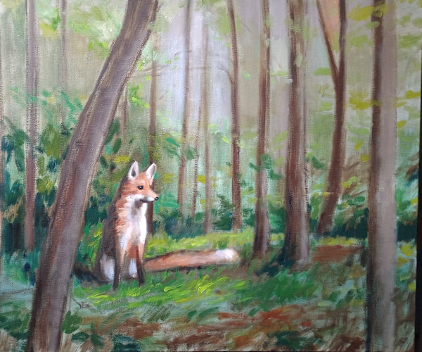 Forest Fox by CLAIRE HARDY