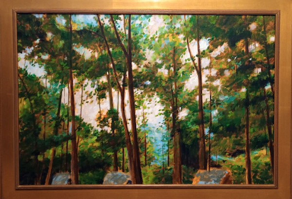 Into the Woodlands by CLAIRE HARDY