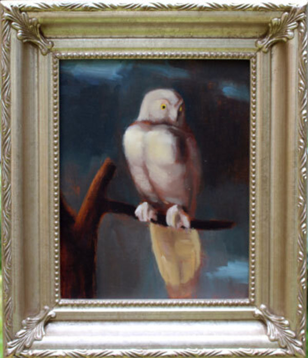 Night Owl by CLAIRE HARDY