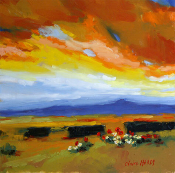 Poppies and Daisies by CLAIRE HARDY