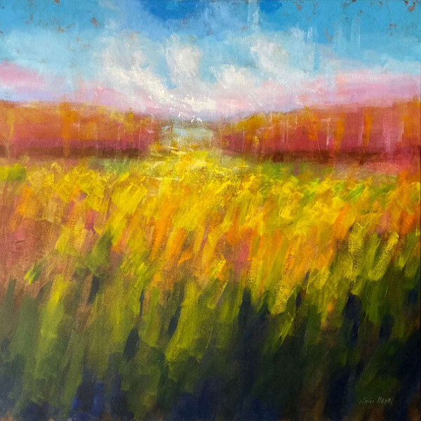 Saffron Rose by CLAIRE HARDY