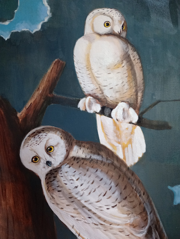 Snowy Owls after Audubon II by CLAIRE HARDY