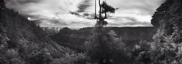 Grand Canyon, North Rim by Eric T. Kunsman