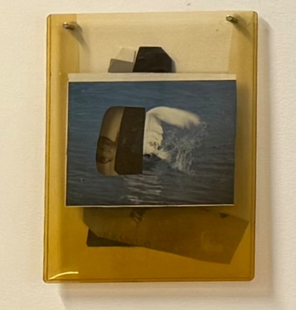 Swan & Dafoe by MaryAnn Puls, Image 1.