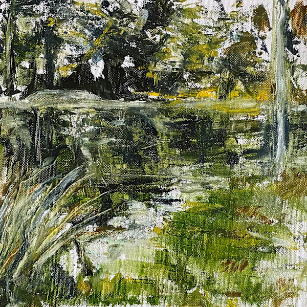 pond by RM Cimini