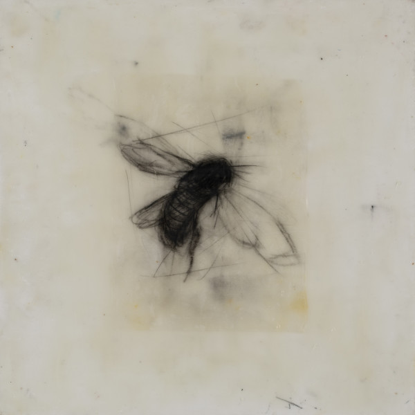 34_GoneWithTheBees.encaustic_charcoal_on_panel._10x10_22._2018._copy_mvivqi_13 by Giselle Gautreau