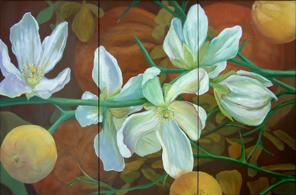 Trifoliate Orange, Triptych by Laurie Hoen